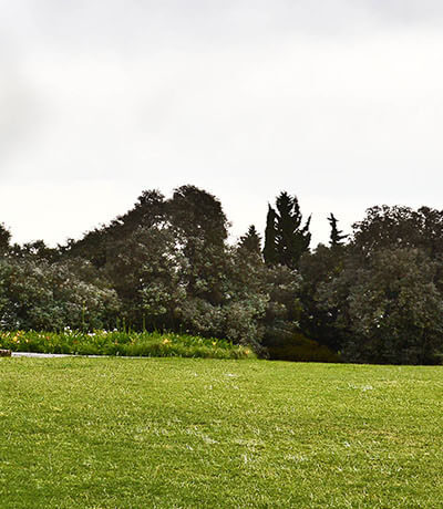 Barrio Newman